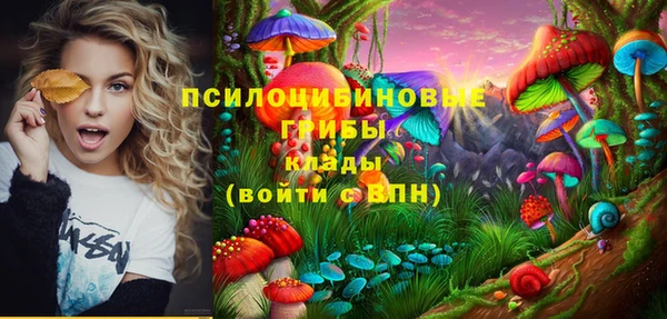 дживик Елабуга