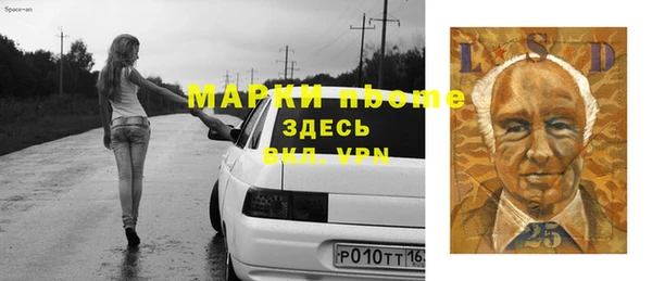 дживик Елабуга