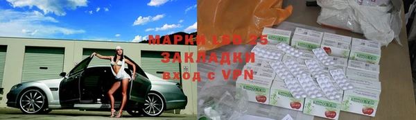 дживик Елабуга