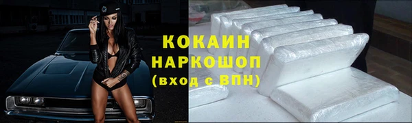 дживик Елабуга