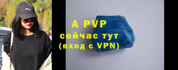 дживик Елабуга