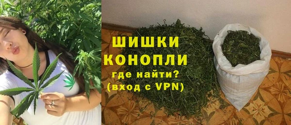 дживик Елабуга