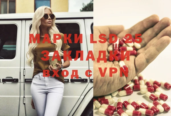 дживик Елабуга