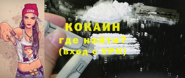 a pvp Ельня