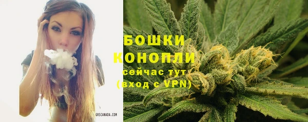 a pvp Ельня