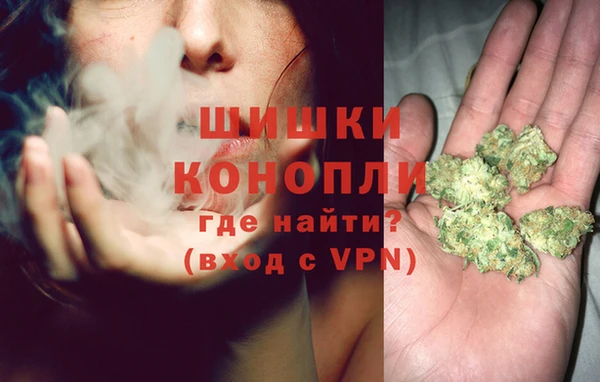 a pvp Ельня