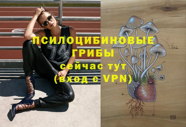 a pvp Ельня
